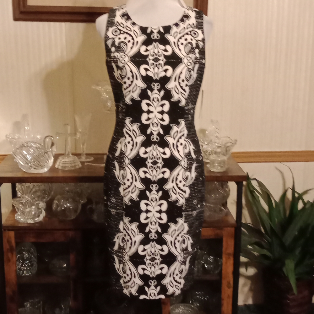 Lovely DYDJ dress. Vanilla and black. NWT